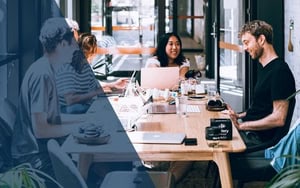 Socialize Insights to Share the Customer Story